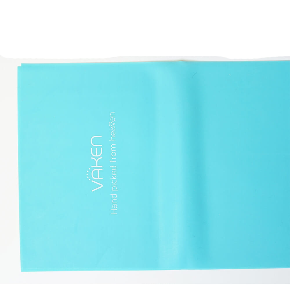  ยางยืดสำหรับออกกำลังกาย Vaken รุ่น Flex Band_Regular Strength (Non-Latex) - Aqua Blue